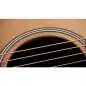 Taylor Gold Label 717e