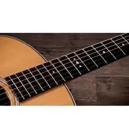 Taylor Gold Label 717e