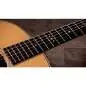 Taylor Gold Label 717e