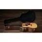 Taylor Gold Label 717e