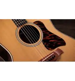 Taylor Gold Label 717e