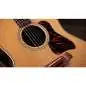 Taylor Gold Label 717e