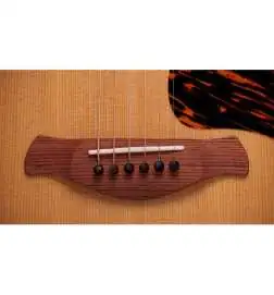 Taylor Gold Label 717e