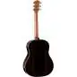 Taylor Gold Label 717e Blacktop