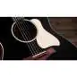Taylor Gold Label 717e Blacktop