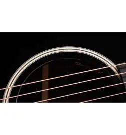 Taylor Gold Label 717e Blacktop