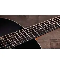 Taylor Gold Label 717e Blacktop