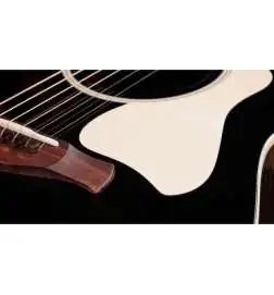Taylor Gold Label 717e Blacktop