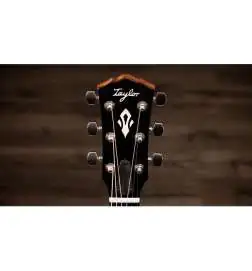 Taylor Gold Label 717e Blacktop