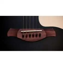 Taylor Gold Label 717e Blacktop