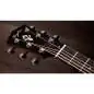 Taylor Gold Label 717e Blacktop