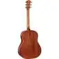 Taylor Gold Label 517e Blacktop Taylor Gold Label 517e Blacktop