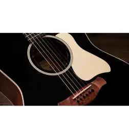 Taylor Gold Label 517e Blacktop