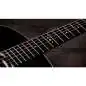 Taylor Gold Label 517e Blacktop Taylor Gold Label 517e Blacktop