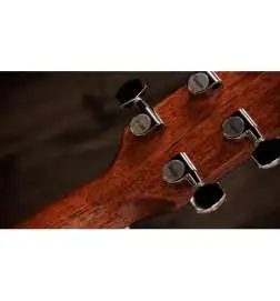 Taylor Gold Label 517e Blacktop