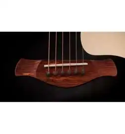Taylor Gold Label 517e Blacktop
