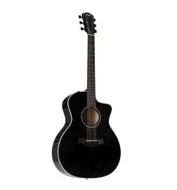 Taylor 214ce-BLK Plus