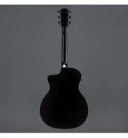 Taylor 214ce-BLK Plus