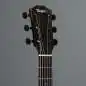 Taylor 214ce-BLK Plus Taylor 214ce-BLK Plus