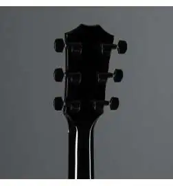 Taylor 214ce-BLK Plus