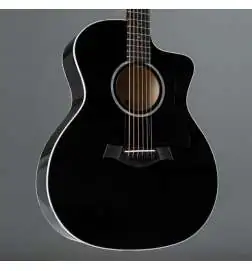 Taylor 214ce-BLK Plus
