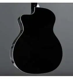 Taylor 214ce-BLK Plus