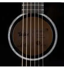 Taylor 214ce-BLK Plus