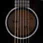 Taylor 214ce-BLK Plus Taylor 214ce-BLK Plus
