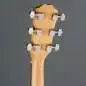 Taylor 214ce-K SB Plus