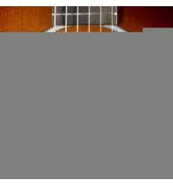 Taylor 214ce-K SB Plus