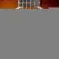 Taylor 214ce-K SB Plus