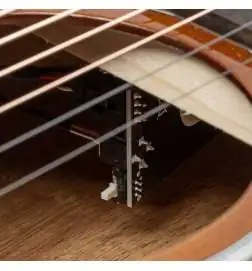 Taylor 214ce-K SB Plus