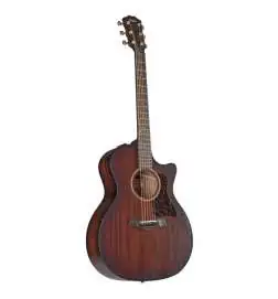 Taylor AD24ce