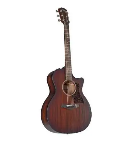 Taylor AD24ce