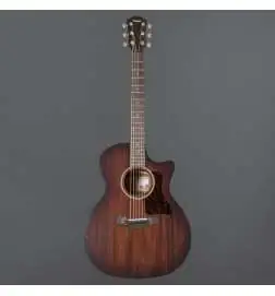 Taylor AD24ce