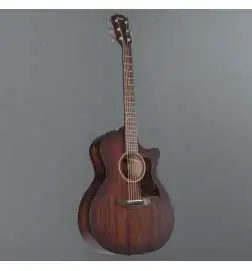Taylor AD24ce