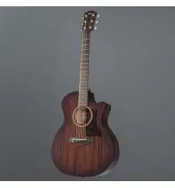 Taylor AD24ce