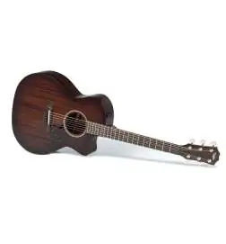 Taylor AD24ce