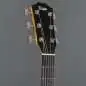 Taylor 214ce Plus Taylor 214ce Plus