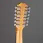 Taylor 150ce 12-String