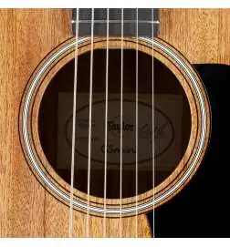 Taylor GS Mini-e Mahogany