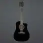 Taylor 250ce-BLK Plus 12-String