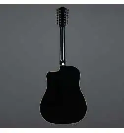 Taylor 250ce-BLK Plus 12-String
