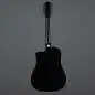 Taylor 250ce-BLK Plus 12-String