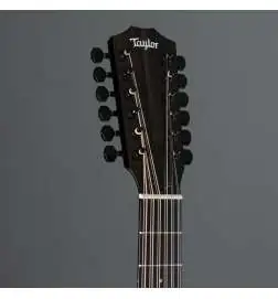 Taylor 250ce-BLK Plus 12-String