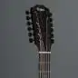 Taylor 250ce-BLK Plus 12-String