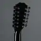Taylor 250ce-BLK Plus 12-String
