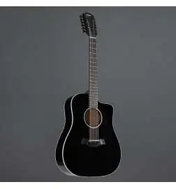Taylor 250ce-BLK Plus 12-String
