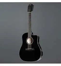 Taylor 250ce-BLK Plus 12-String