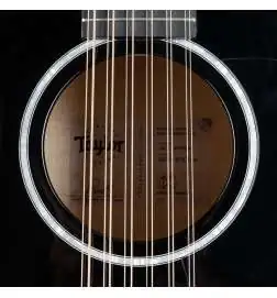 Taylor 250ce-BLK Plus 12-String
